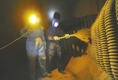 清理水泥库施工经典案例